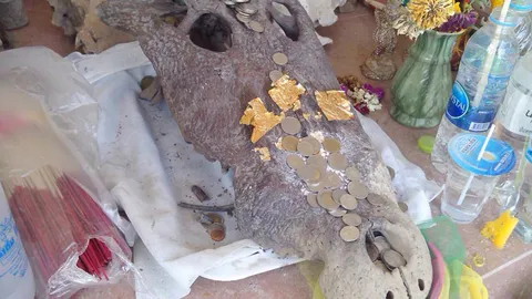 พบหัวจระเข้โบราณ ชาวบ้านฮือแห่ขอเลขเด็ด