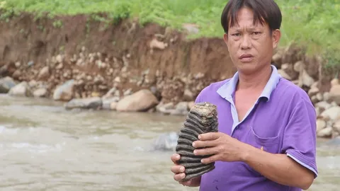 พบกระดูกสัตว์ลักษณะประหลาด เชื่อเป็น 'หงอนพญานาค' 