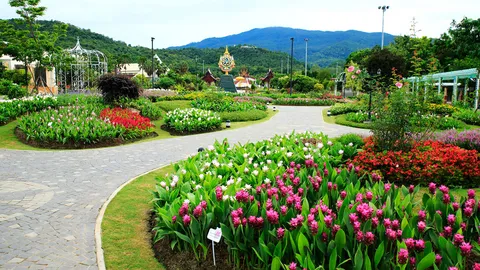 ชวนเที่ยวงาน 'เทศกาลชมสวนฤดูฝน' ในจ.เชียงใหม่