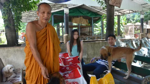 หลวงพ่อวอนโยมช่วย รับภาระเลี้ยงหมา-แมวร่วมพันตัว 