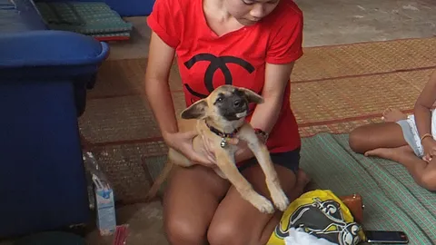 ชาวบ้านชัยภูมิแห่พิสูจน์ พบ'หมาพูดได้'