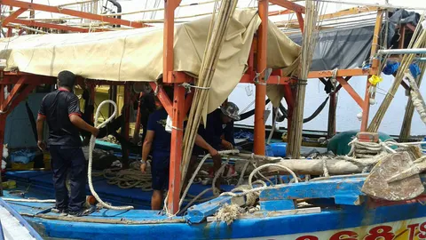 จับประมงเวียดนามรุกน่านน้ำจับสัตว์ทะเลไทย