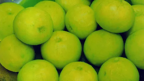 อะไรอยู่ใน...ฝรั่งแช่บ๊วย