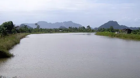 จับชายเห็นแก่ได้ ลักลอบช็อตปลา ในทะเลสาบสงขลา