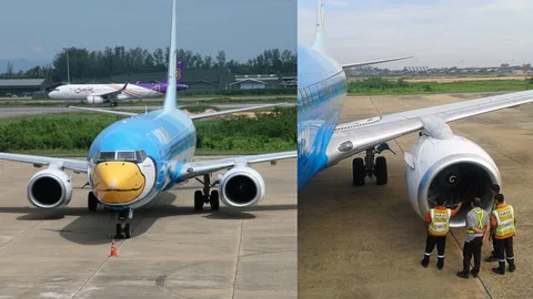 นกอื้อ! ผอ.สนามบินเมืองคอนหนักใจ เร่งหาทางแก้