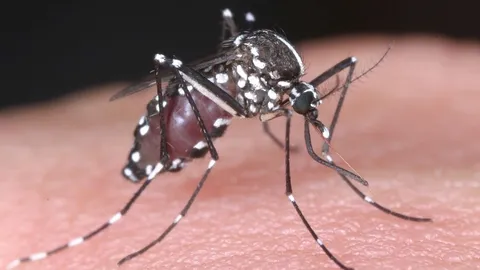 โลกาภิวัตน์ 02/09/57