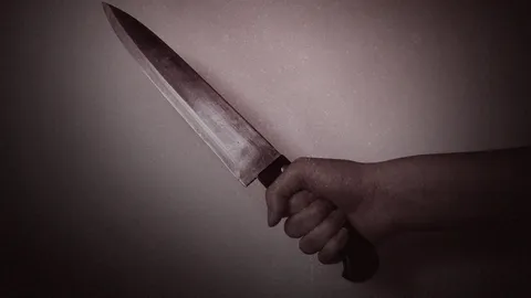 หลานขี้โมโหไล่ตีตาวัย 87 ปีถูกมีดแทงสวนดับ