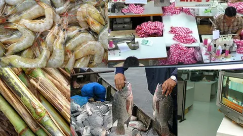 พณ.ลุ้น 5 สินค้าไทยหลุดบัญชีใช้แรงงานเด็ก