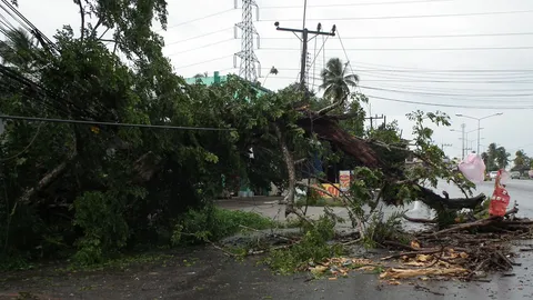 โชคร้าย ‘ประดู่ยักษ์’ ริมถนน หักทับผัวตาย-เมียสาหัส 