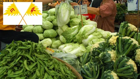 ใกล้กินเจ ผักชีแพงขึ้นอีกกิโลกรัมละ 10 บาท 