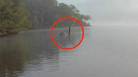 ตะลึง! สาวผู้ดีถ่ายรูปเจอ ‘สัตว์ประหลาดล็อก เนสส์’ โผล่กลางทะเลสาบ