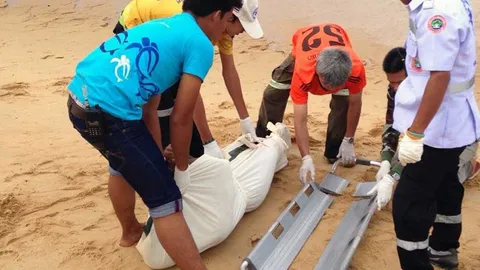 ฆ่าโหดชายนิรนามทิ้งทะเล มัดมือมัดเท้าแทงร่างพรุน