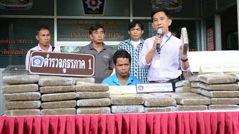 จับพ่อค้าปลาหมึก ขนกัญชา100กก. อ้างขายของขาดทุน