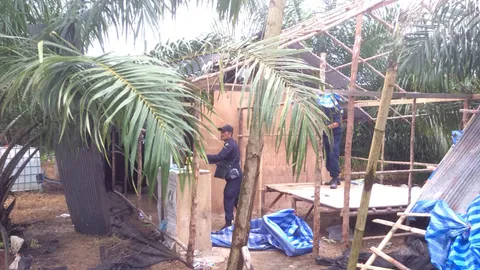 บุกจับชาวบ้านเกือบ100คน รุกป่า-ยึดสวนปาล์ม จ.กระบี่ 