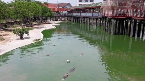 ตร. ชี้ เจ้าของฟาร์มจระเข้ไม่ผิด คนโดดฆ่าตัวตาย