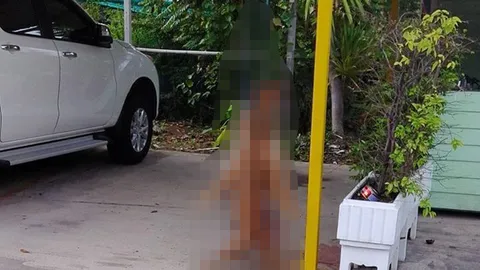 ชาวเน็ตฮือตั้งค่าหัว มือแขวนคอหมา ยอด 2 หมื่นบาทแล้ว