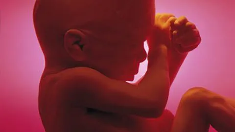 ปัดข่าวแม่อุ้มบุญหลบหนี พม.ยัน ยังมาให้นมลูกที่ รพ.