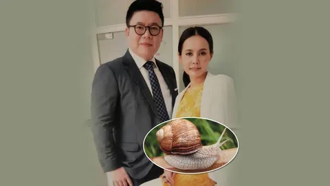 “เมือกหอยทาก”