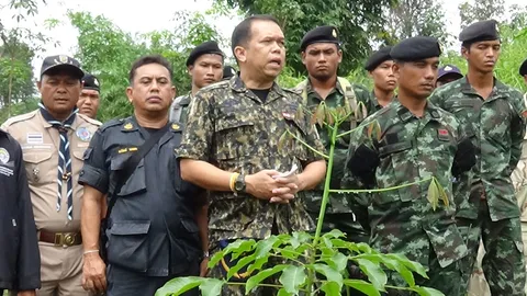 ลุยตรวจป่าสงวนฯตรัง พบลอบปลูกยางกว่า 3 พันต้น