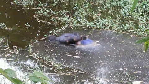 ฆ่าหนุ่มสักแมงมุม ทุบหัว-มัดไพล่หลัง ทิ้งน้ำปากช่อง