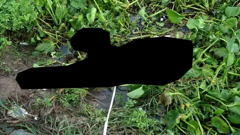 พบศพหญิงนิรนาม ลอยอืดคลองบางบัวทอง