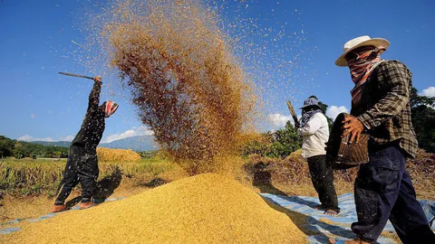 ธ.ก.ส.ปิดกองทุนช่วยชาวนาสิ้น ก.ย. ทยอยคืนเงินสมทบกว่า 1.4หมื่น ล.