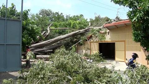 พายุถล่มชัยนาท วัด-บ้านเรือน เสียหายยับ