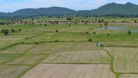 "เกษตร" กระชับพื้นที่ที่ดิน ส.ป.ก.ผิดกฎหมาย ชูยุทธศาสตร์พัฒนาเป็นแหล่งท่องเที่ยว!