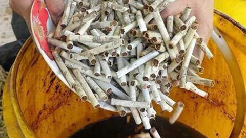 ยาสูบเพื่อเกษตรอินทรีย์