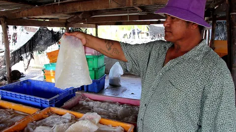 ประมงพื้นบ้านปราณฯ ยิ้ม จับแมงกะพรุนขายรายได้ดี