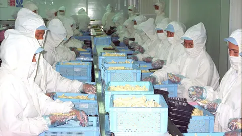 เอสเอ็มอีอ่วมแข่งได้แค่ระดับตำบล