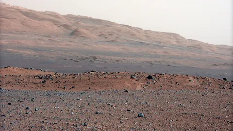 แปลงเป็นกบจำศีล เพื่อไปดาวอังคาร