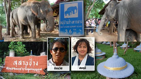 ตำนานช้างไทย สุสานช้างสุรินทร์