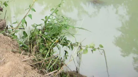 สลด! ด.ญ.พี่น้องจมน้ำ3ศพ แม่ร่ำไห้หัวใจสลาย