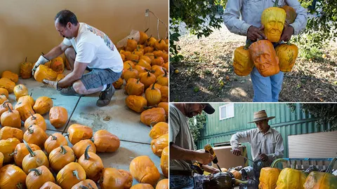 เจ๋ง!! ฟักทองทรงหัวแฟรงเกนสไตน์ รับฮาโลวีน