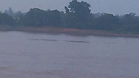 พบ'พญานาค'โผล่เล่นน้ำริมโขง เชื่อมาให้โชคแห่ตี'เลขเด็ด'