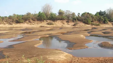 ขอดเกล็ด...ภัยแล้ง