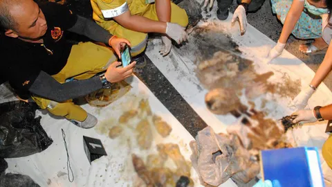 พบชิ้นส่วนมนุษย์ คาดเป็นครูภาษาญี่ปุ่น ส่งพิสูจน์ดีเอ็นเอ