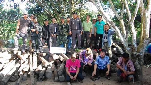 สนธิกำลังค้นบ้านเป้าหมายกลางสวนยาง อายัดไม้แปรรูปค่ากว่า3ล.