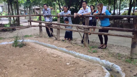 สวนสัตว์อุบลฯ เตรียมเปิดเส้นทาง 'แมงกะเบี้ย' ให้ศึกษา