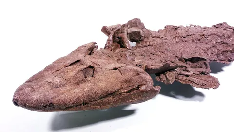 มนุษย์รู้จักสมสู่ได้ปลาเป็นต้นตำรา