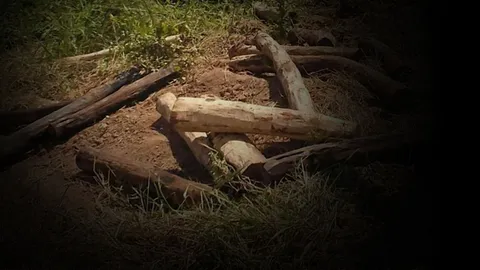 รถขนไม้พะยูงซิ่งหนี จนท.แหกโค้งพลิกคว่ำ แต่ไร้แววคนขับ