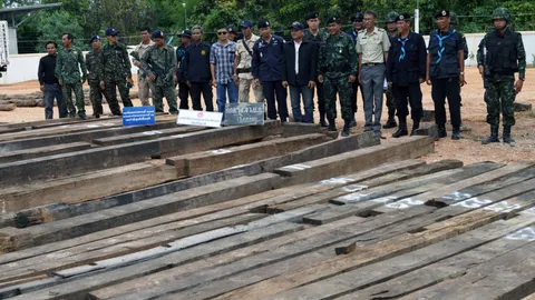 ตะลึง!‘เจ๊เล็ก-เจ้าแม่ไม้พะยูงเรือนเก่า’กองไม้50ล้านข้างบ้าน