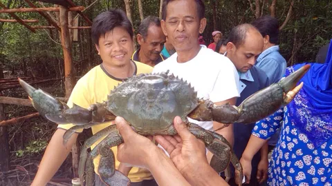 ทุบสถิติ! ‘ปูยักษ์‘ หนัก 3 กก.ชาวบ้านตกได้ที่กระบี่ 