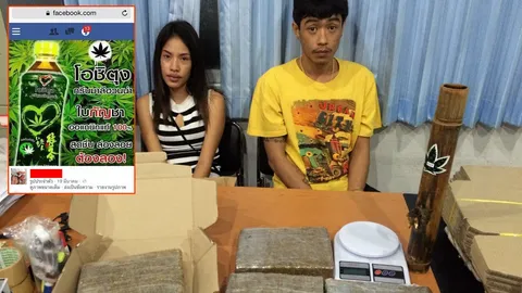 ค้ากัญชา 