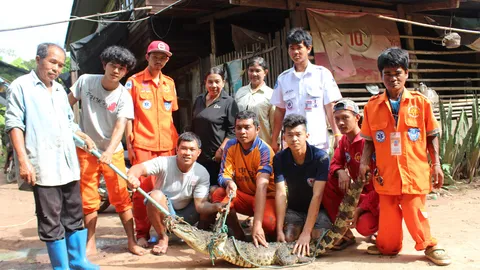 จระเข้บิ๊กไซส์หลุดบ่อ ชาวบ้านโคราชผวาแจ้งตามตะครุบ