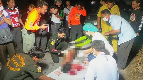 ฆ่าหมกรถ