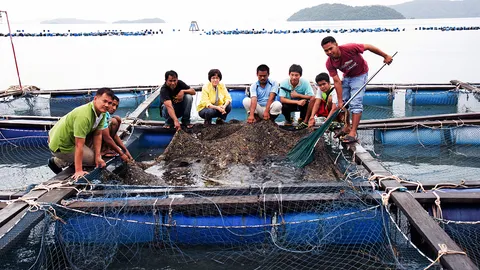 วิจัยประมงทะเลระรื่น คว้ารางวัลเทคโนฯ ดีเด่น