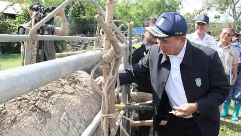 สั่งฉีดวัคซีนทั่ว ปท. หลัง‘กระบือ’เชียงรายคอบวมตายแล้ว33ตัว 