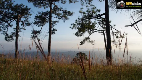 'ภูกระดึง' ฉันคิดถึงเธอ! 